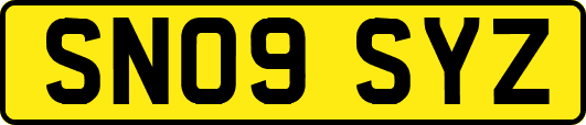 SN09SYZ