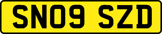 SN09SZD