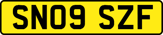 SN09SZF