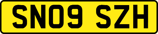 SN09SZH