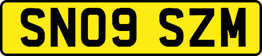 SN09SZM