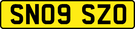 SN09SZO