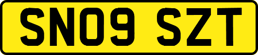 SN09SZT