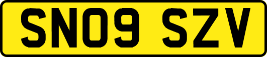 SN09SZV