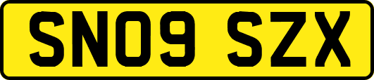 SN09SZX
