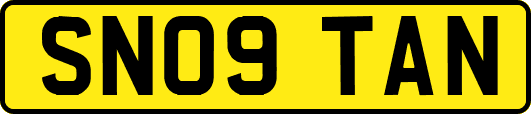 SN09TAN