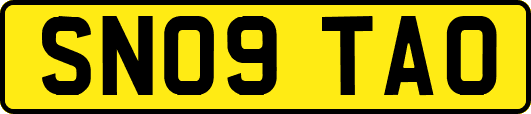 SN09TAO
