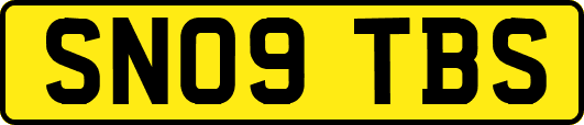 SN09TBS