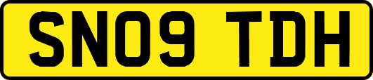 SN09TDH
