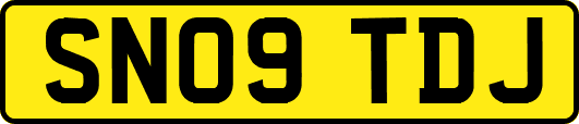 SN09TDJ