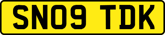 SN09TDK