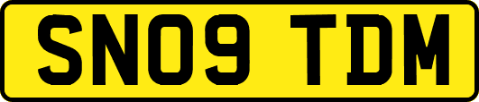 SN09TDM