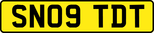 SN09TDT
