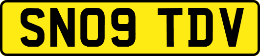 SN09TDV