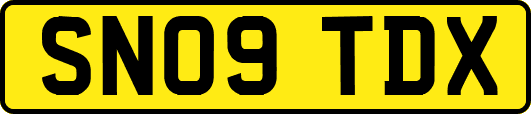 SN09TDX