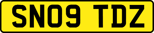 SN09TDZ