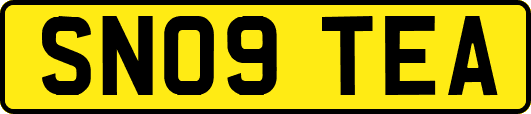 SN09TEA