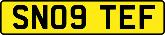 SN09TEF
