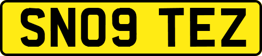 SN09TEZ