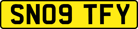 SN09TFY