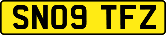 SN09TFZ