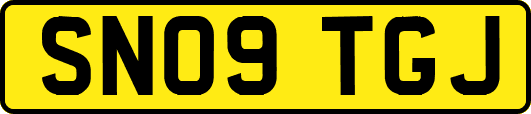 SN09TGJ