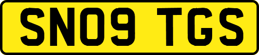 SN09TGS