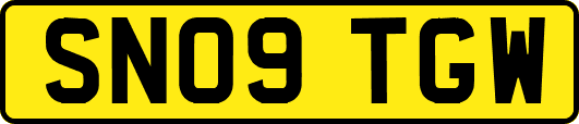 SN09TGW