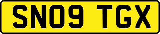 SN09TGX