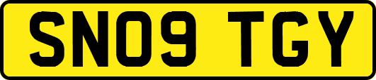 SN09TGY