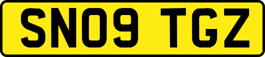 SN09TGZ