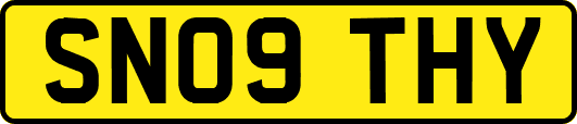 SN09THY