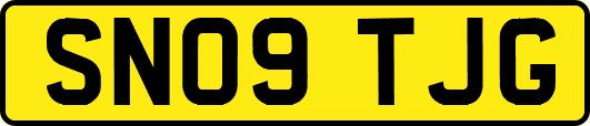 SN09TJG