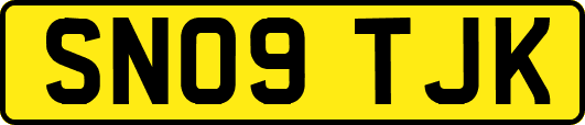 SN09TJK