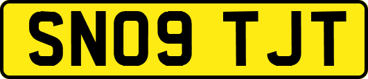 SN09TJT