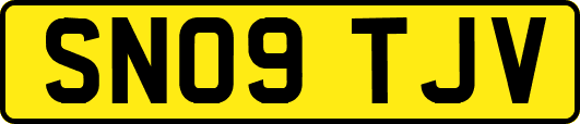 SN09TJV