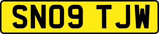 SN09TJW