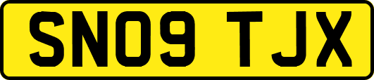 SN09TJX