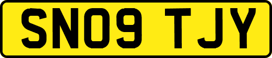 SN09TJY