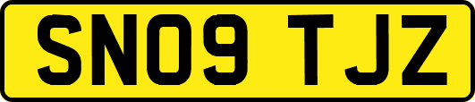 SN09TJZ