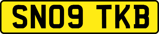 SN09TKB