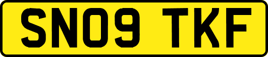 SN09TKF
