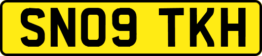 SN09TKH