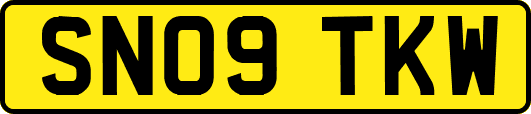 SN09TKW
