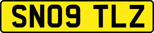 SN09TLZ