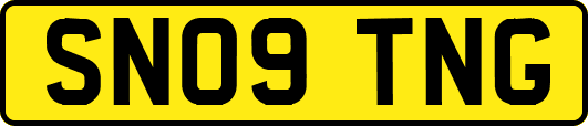 SN09TNG