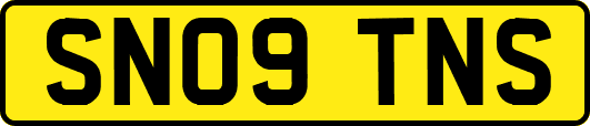 SN09TNS