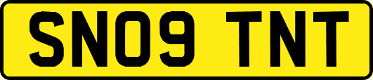 SN09TNT