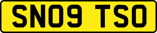SN09TSO