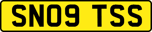 SN09TSS